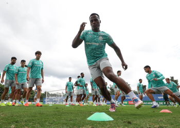 Foto: Cesar Greco / SE Palmeiras