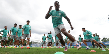 Foto: Cesar Greco / SE Palmeiras